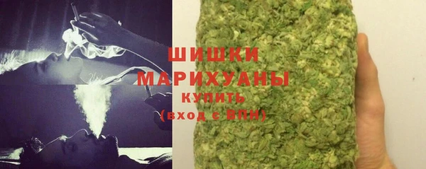 прущие грибы Аркадак