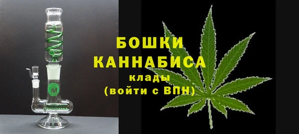 прущие грибы Аркадак