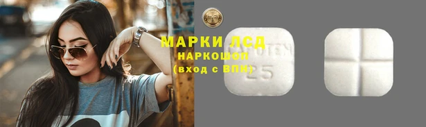 прущие грибы Аркадак