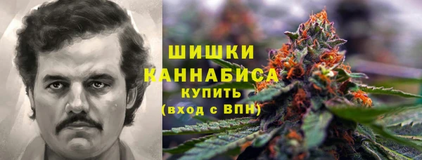 прущие грибы Аркадак